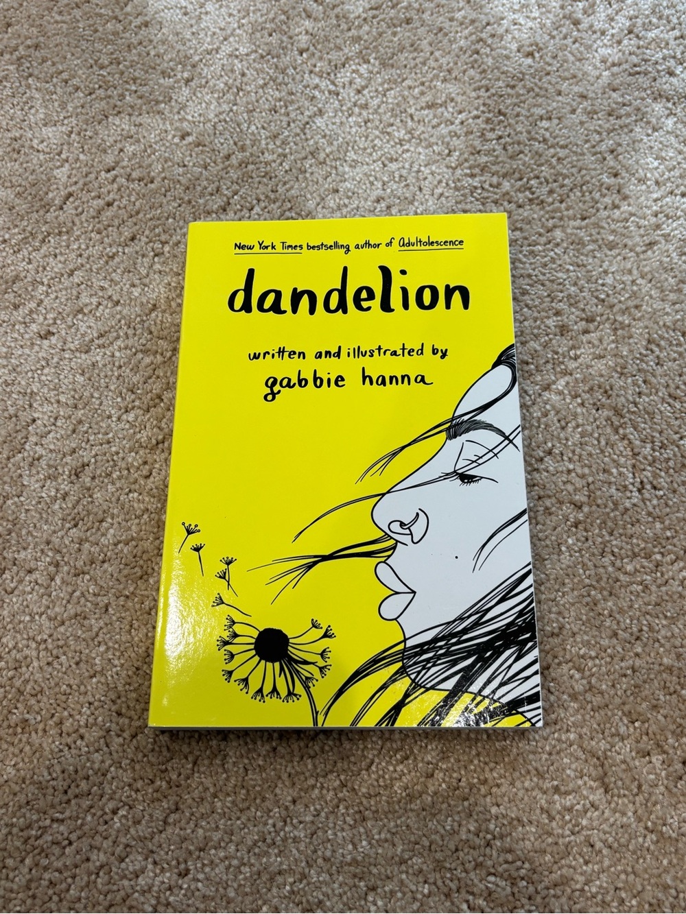 dandelion by Gabbie Hannah - softcover book